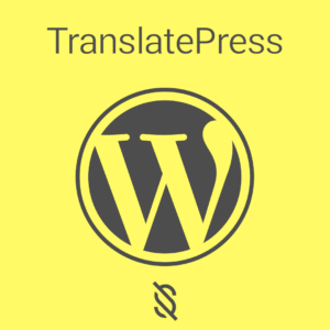چگونه با افزونه TranslatePress، سایت وردپرسی را چند زبانه کنیم؟